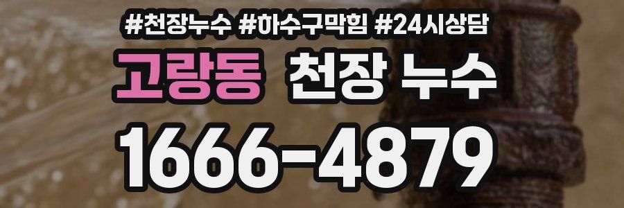 고랑동 천장 누수