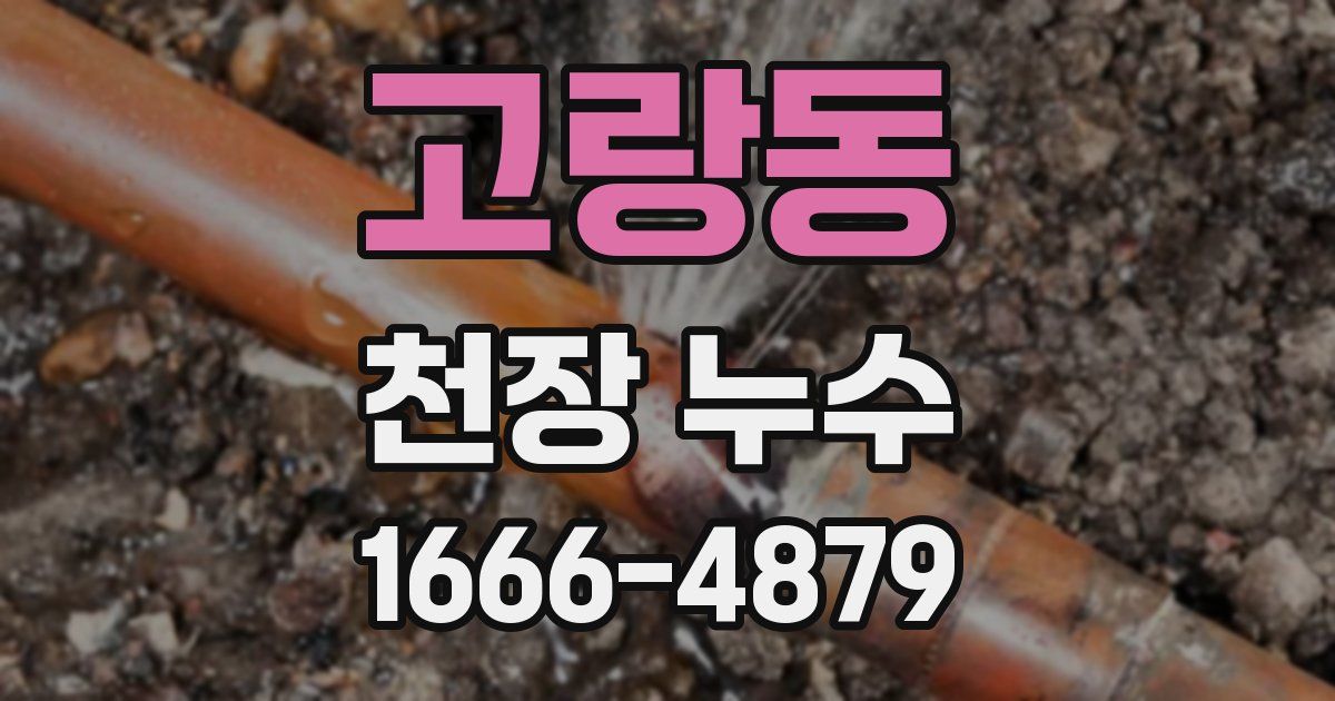 고랑동 천장 누수