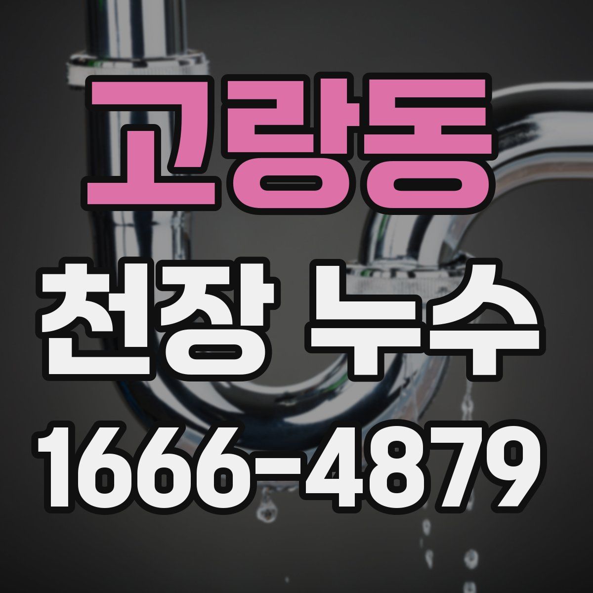 고랑동 천장 누수