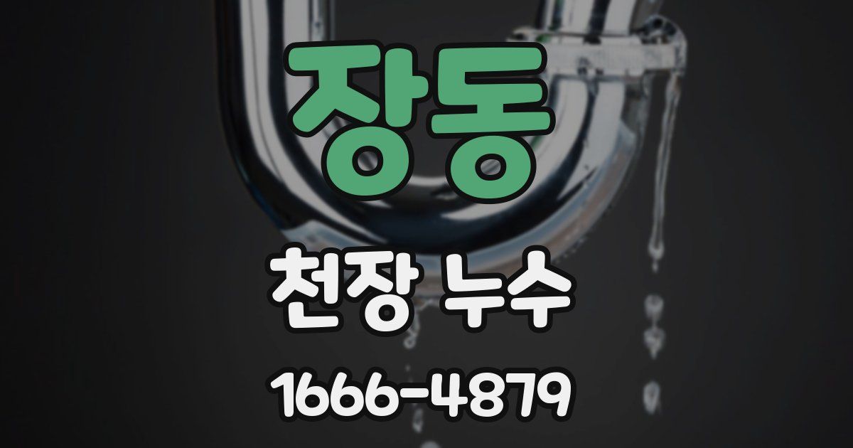 장동 천장 누수