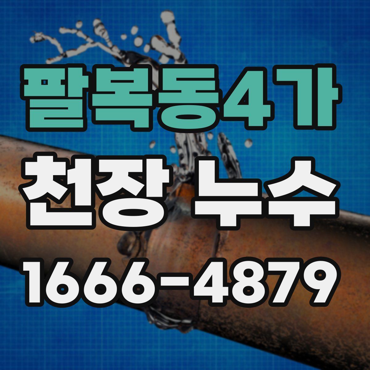 팔복동4가 천장 누수