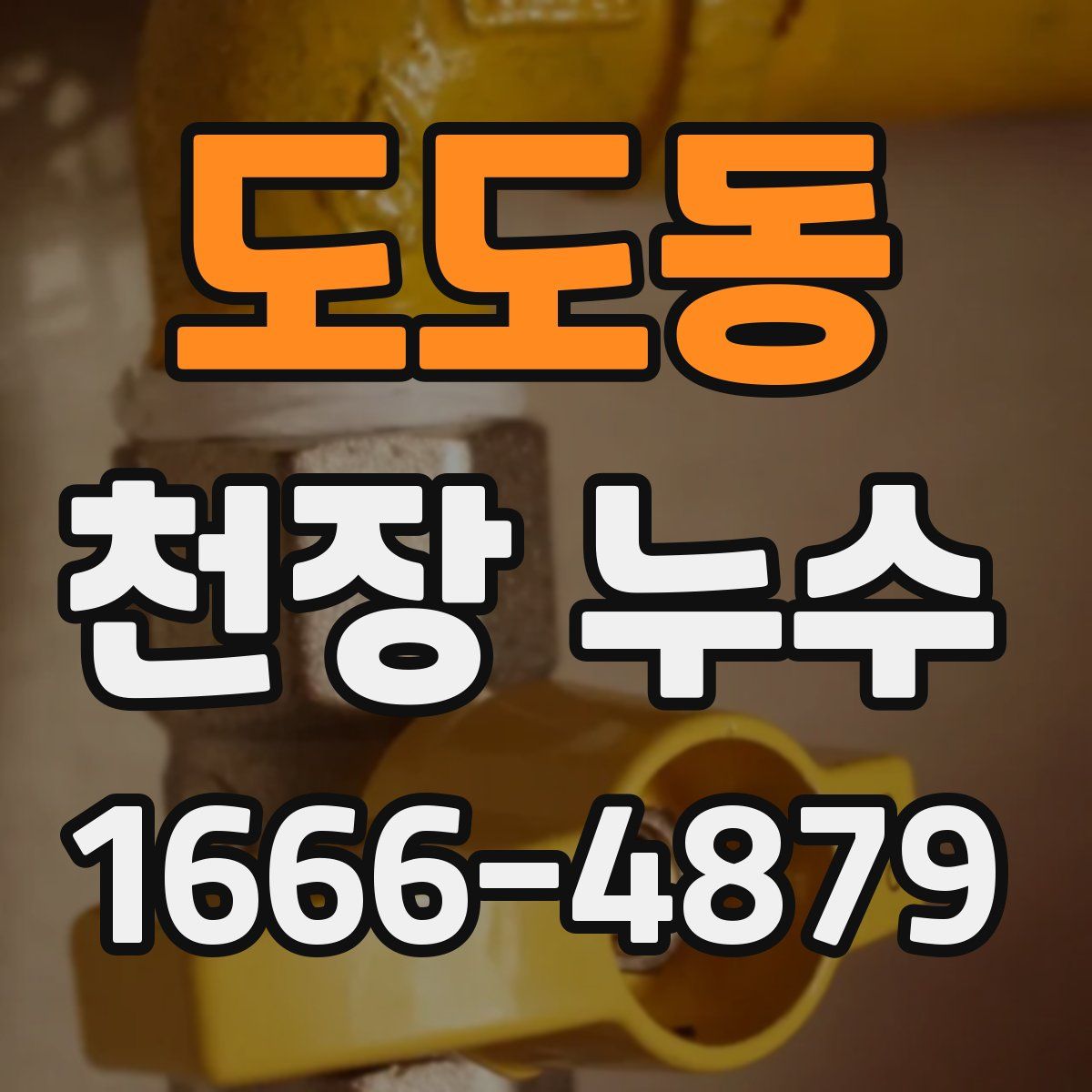 도도동 천장 누수