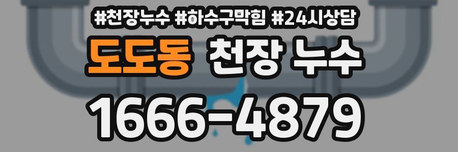 도도동 천장 누수