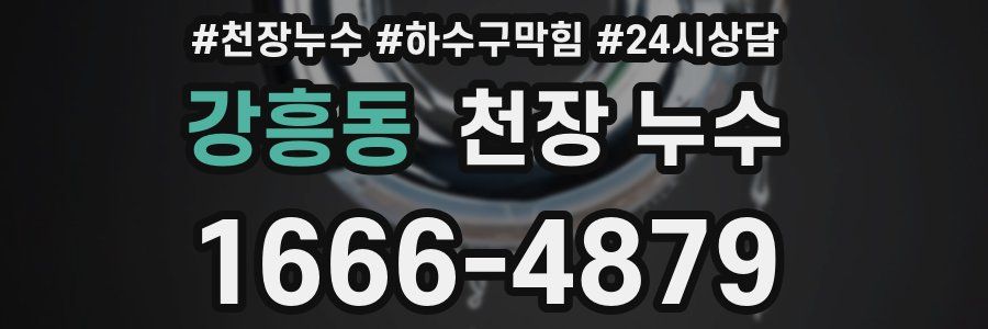 강흥동 천장 누수