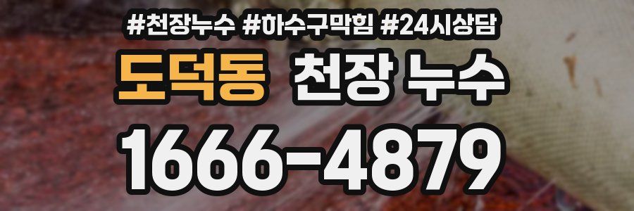 도덕동 천장 누수