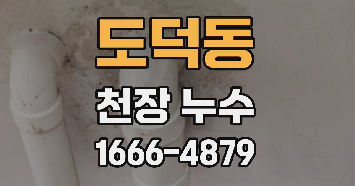 도덕동 천장 누수