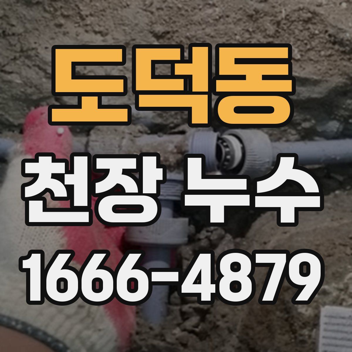 도덕동 천장 누수