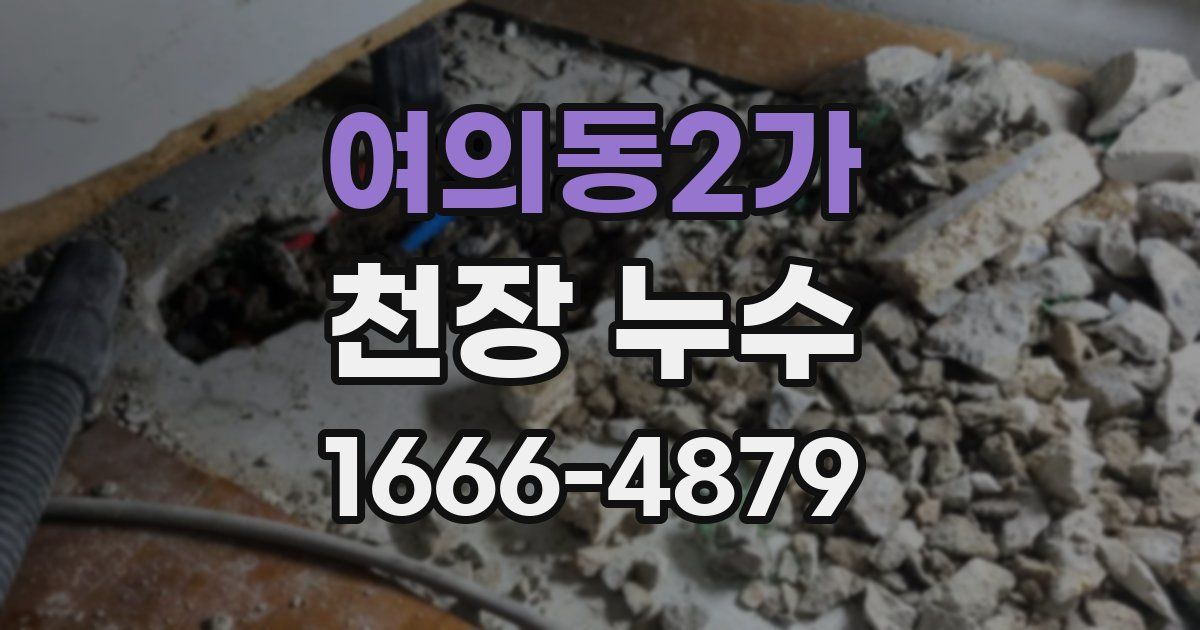 여의동2가 천장 누수