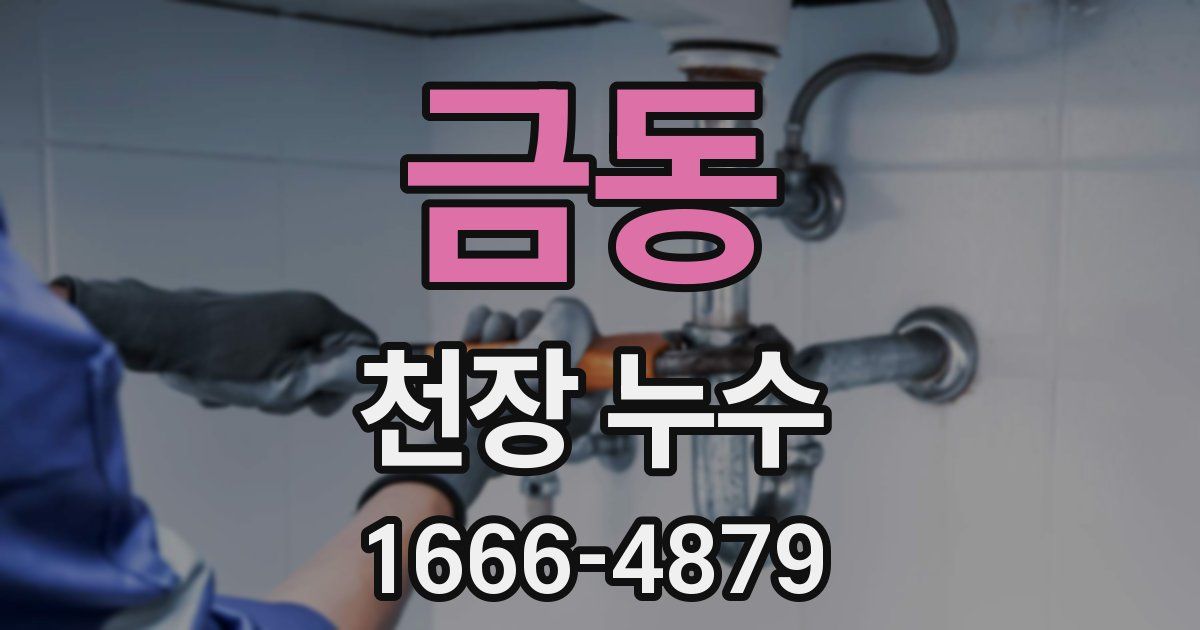 금동 천장 누수