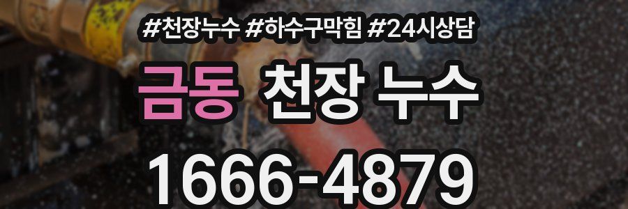 금동 천장 누수