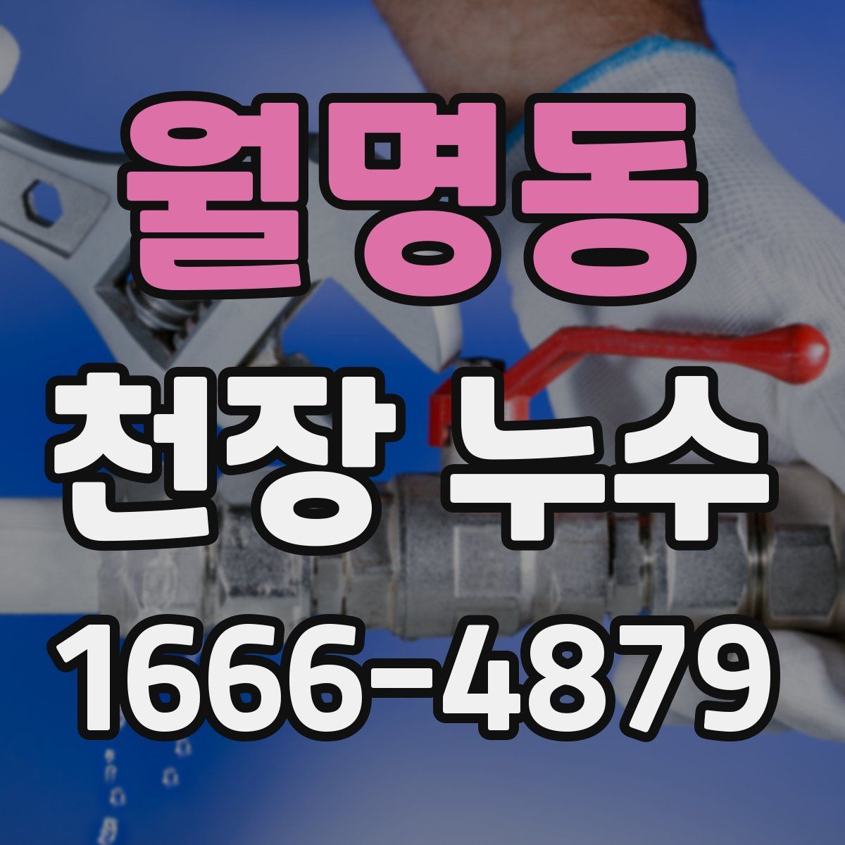 월명동 천장 누수