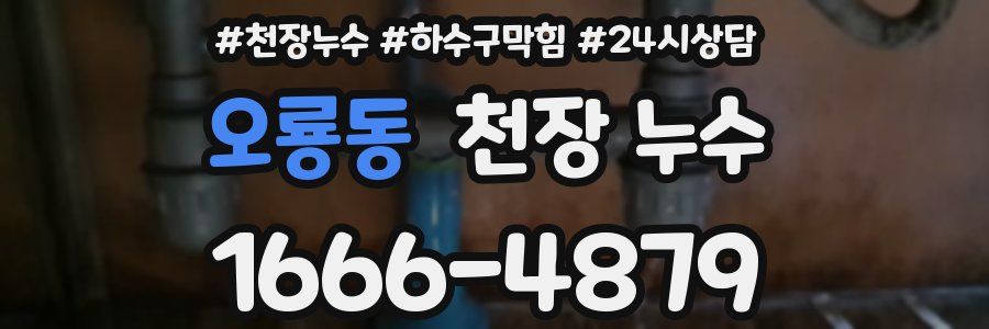 오룡동 천장 누수