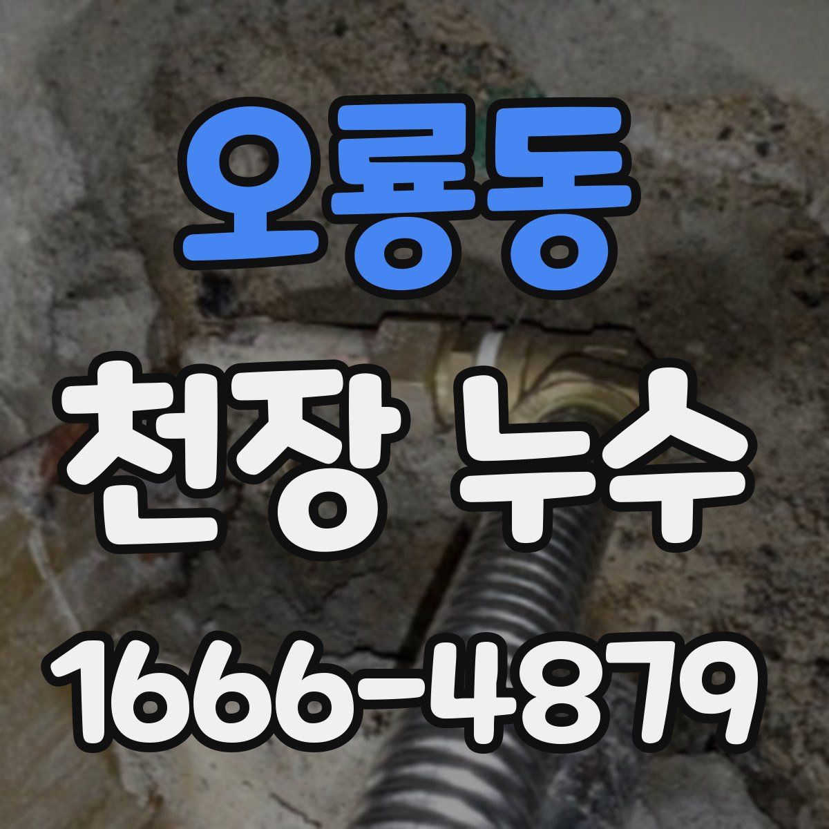 오룡동 천장 누수