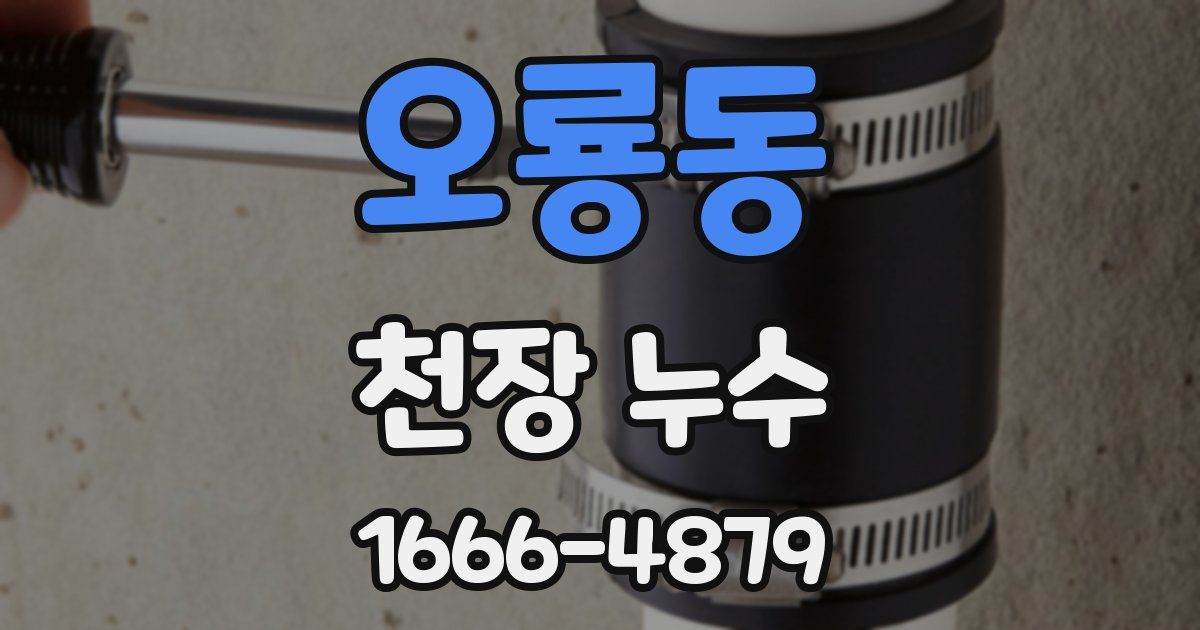 오룡동 천장 누수