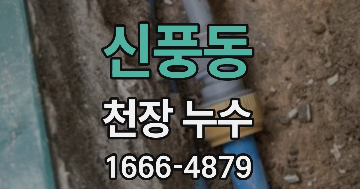 신풍동 천장 누수