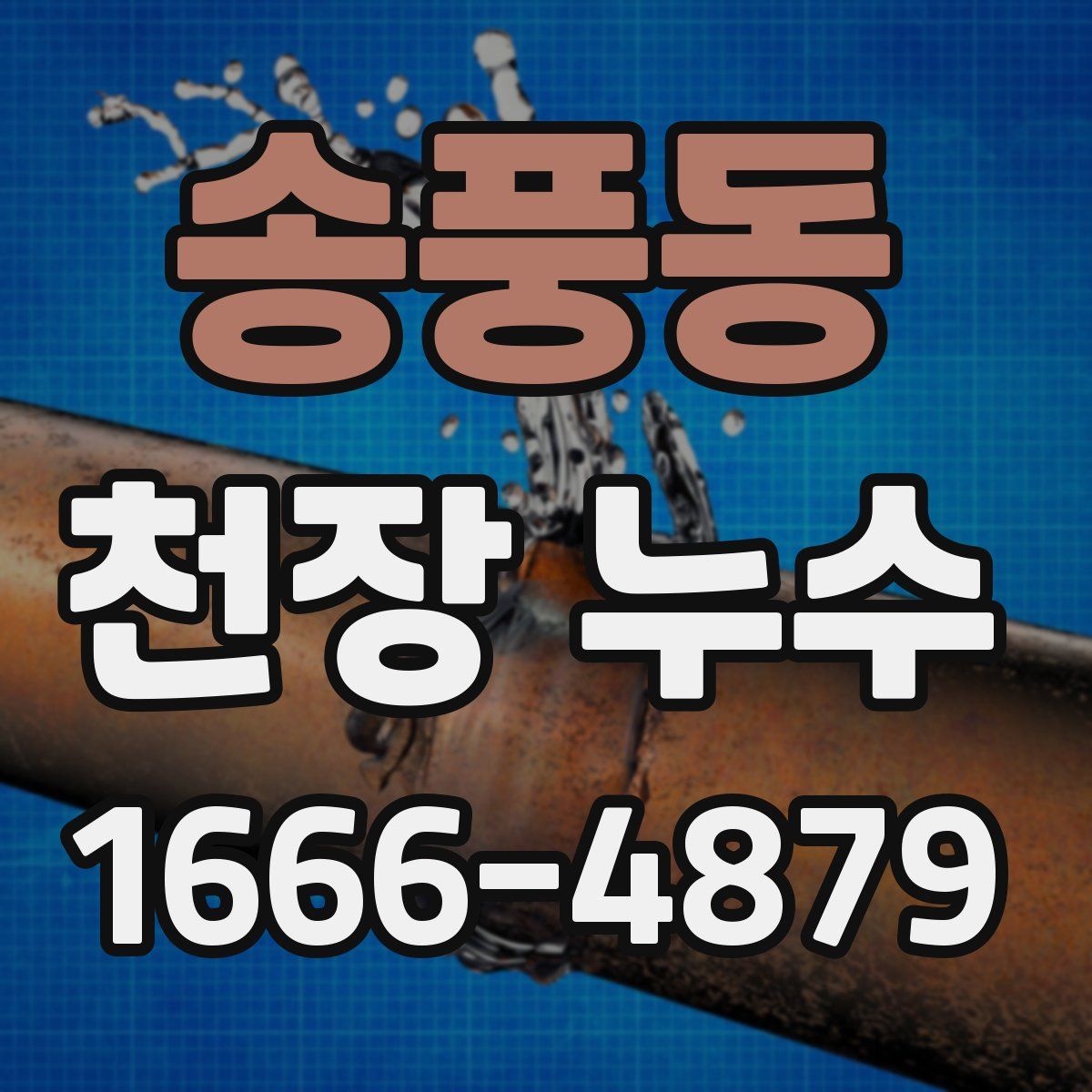송풍동 천장 누수