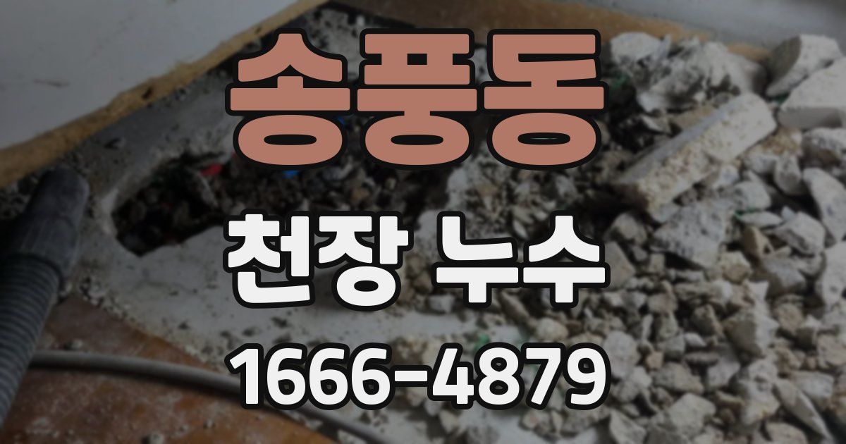 송풍동 천장 누수