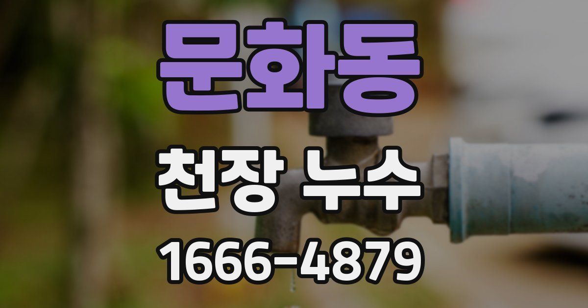 문화동 천장 누수