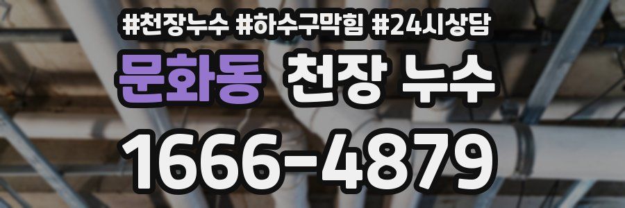 문화동 천장 누수