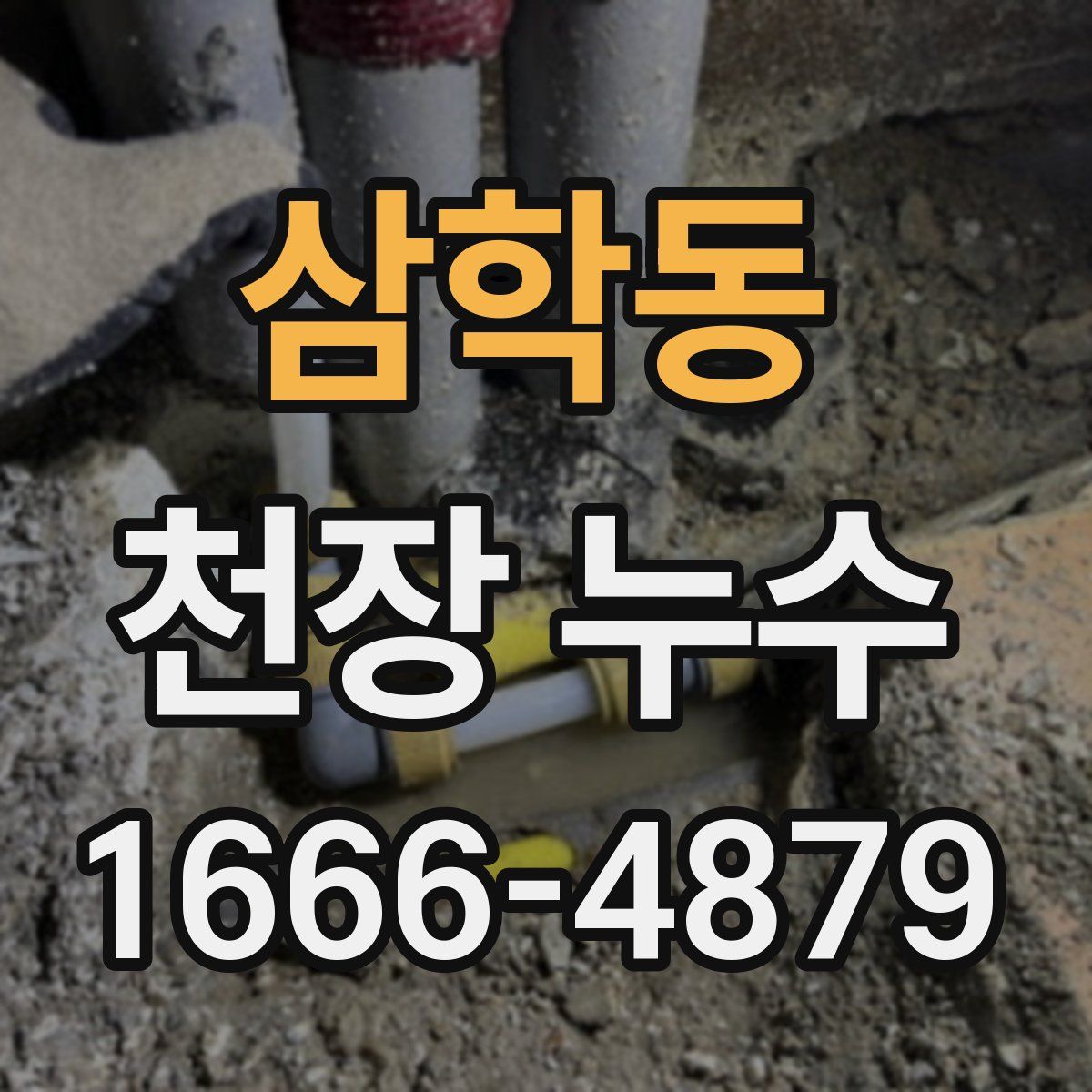 삼학동 천장 누수