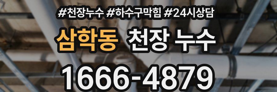 삼학동 천장 누수