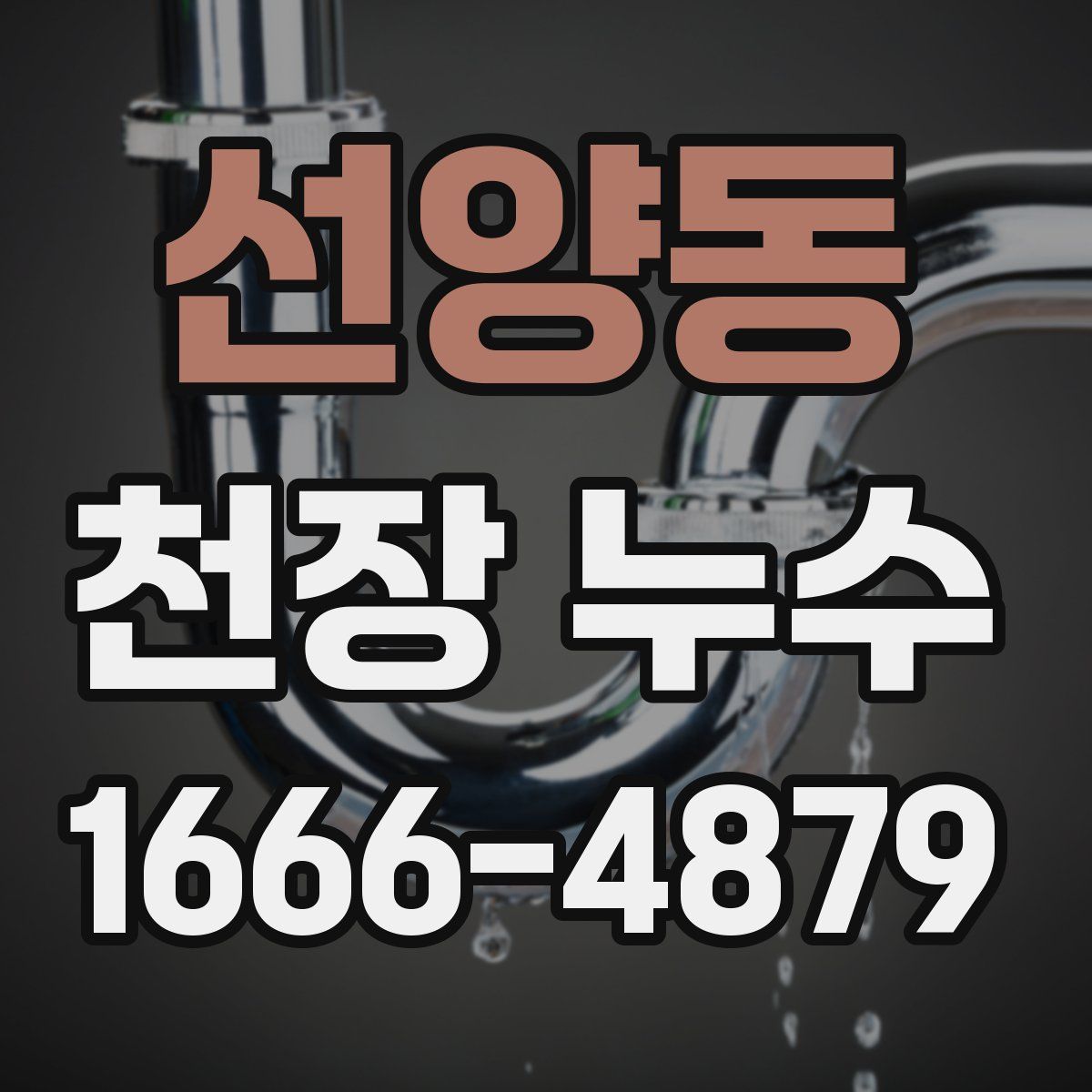 선양동 천장 누수