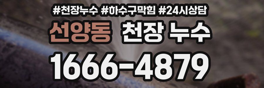 선양동 천장 누수