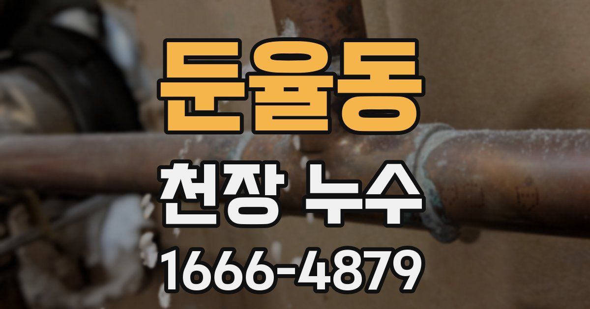 둔율동 천장 누수