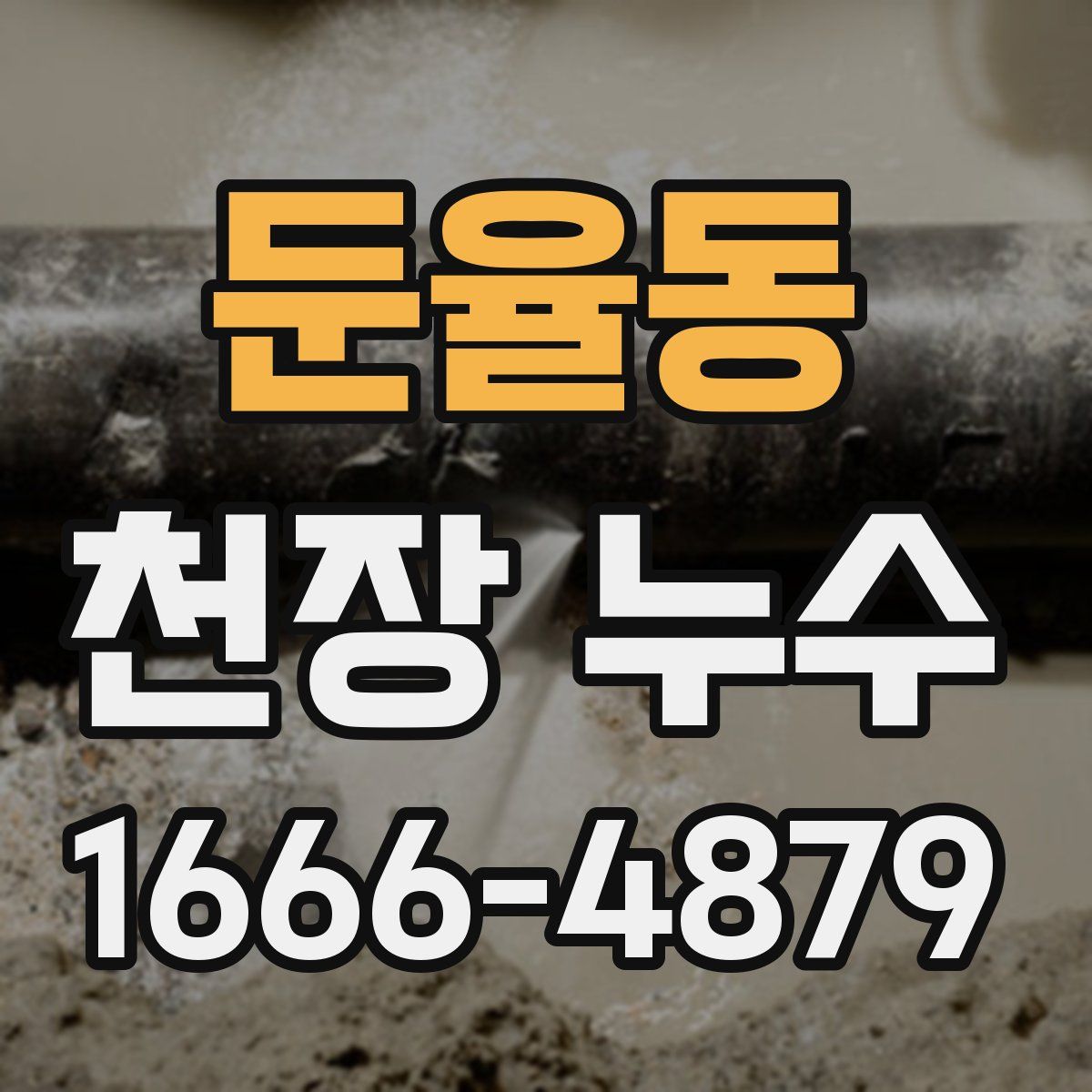 둔율동 천장 누수