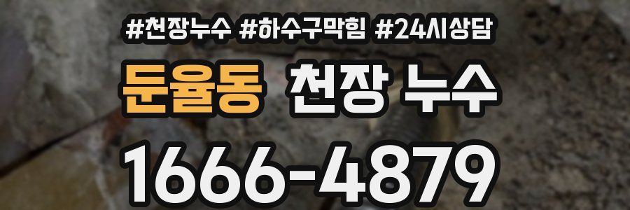 둔율동 천장 누수