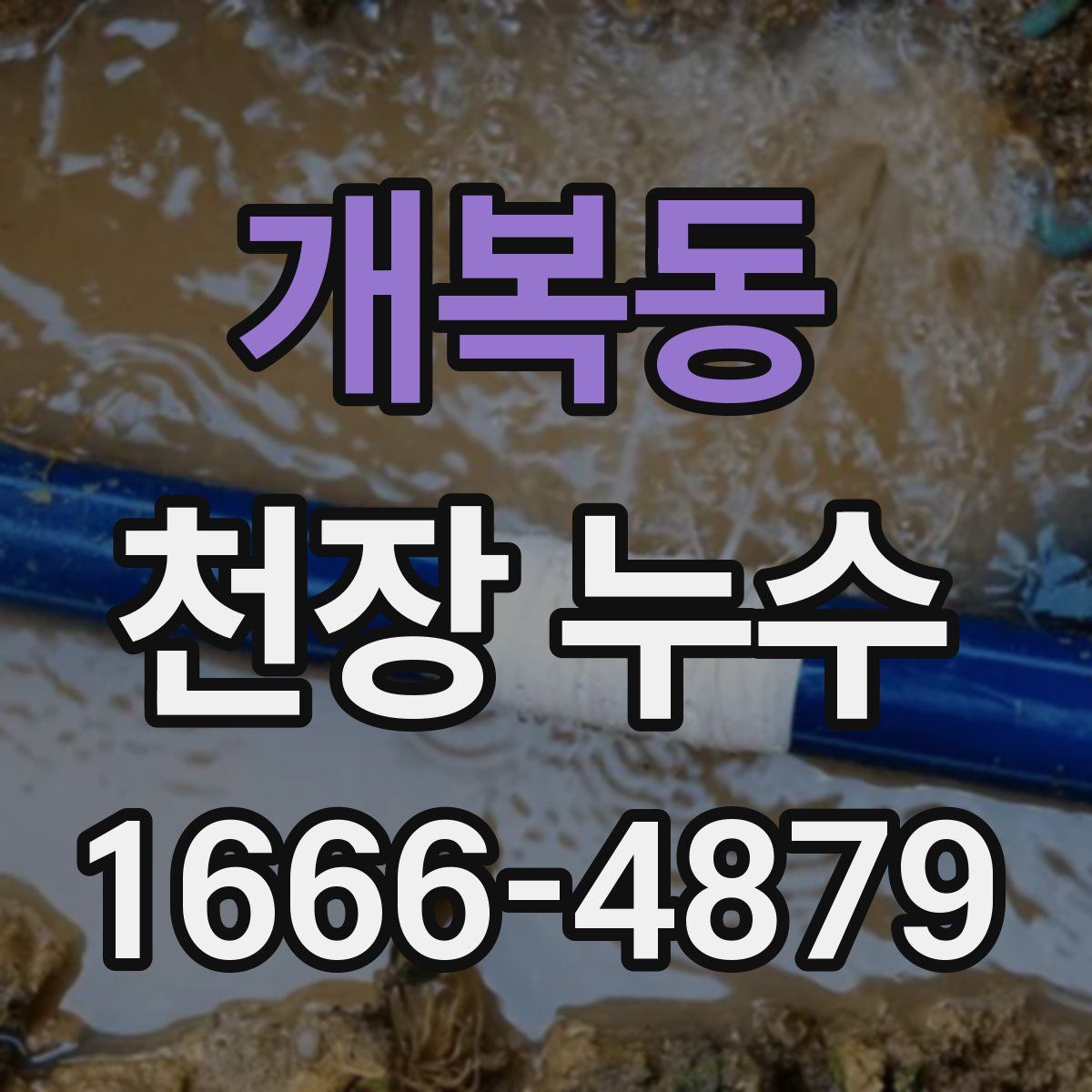 개복동 천장 누수