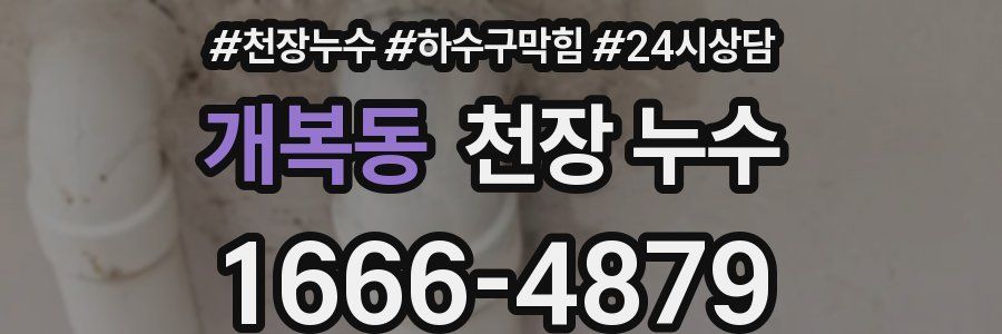 개복동 천장 누수