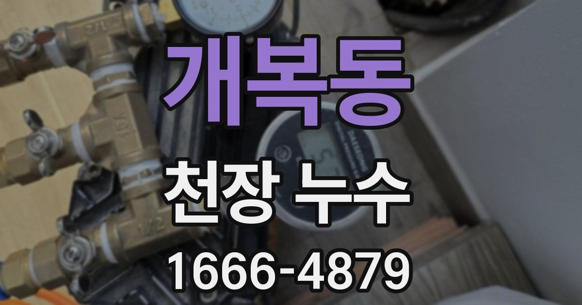 개복동 천장 누수