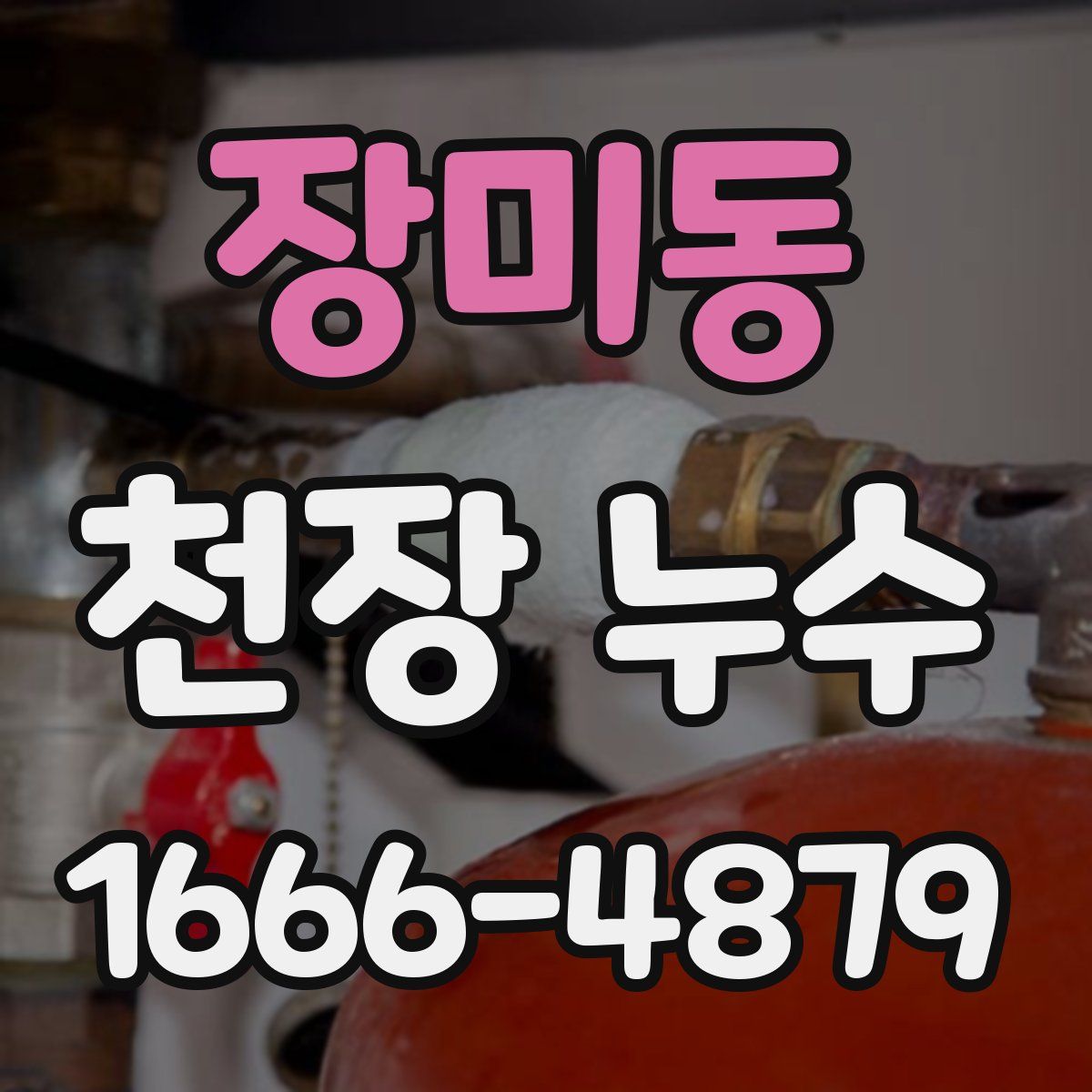 장미동 천장 누수