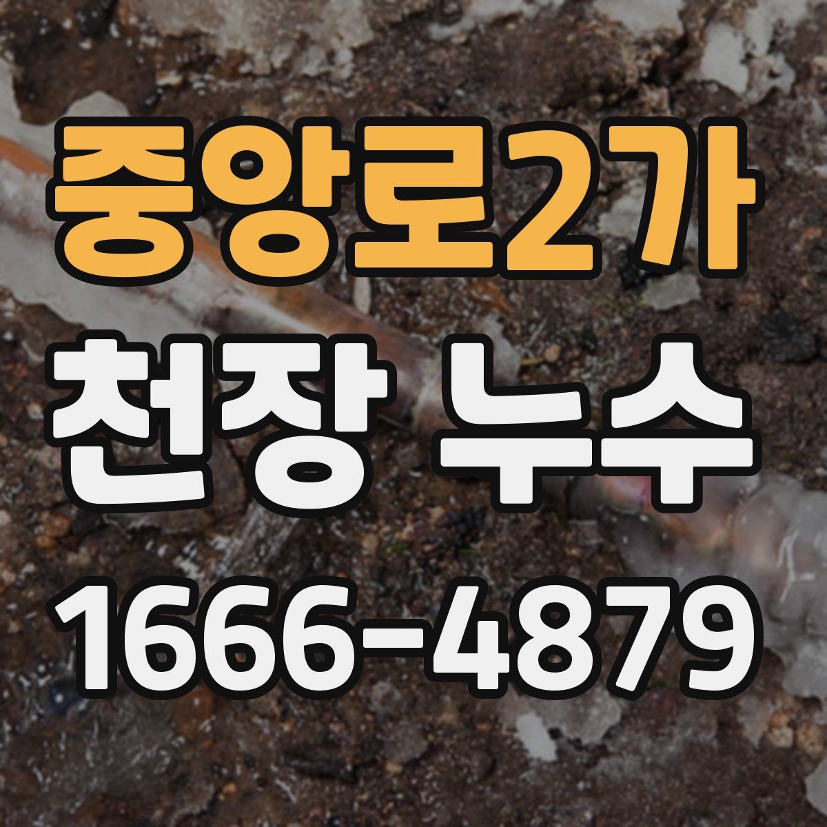 중앙로2가 천장 누수