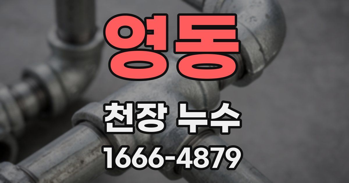 영동 천장 누수