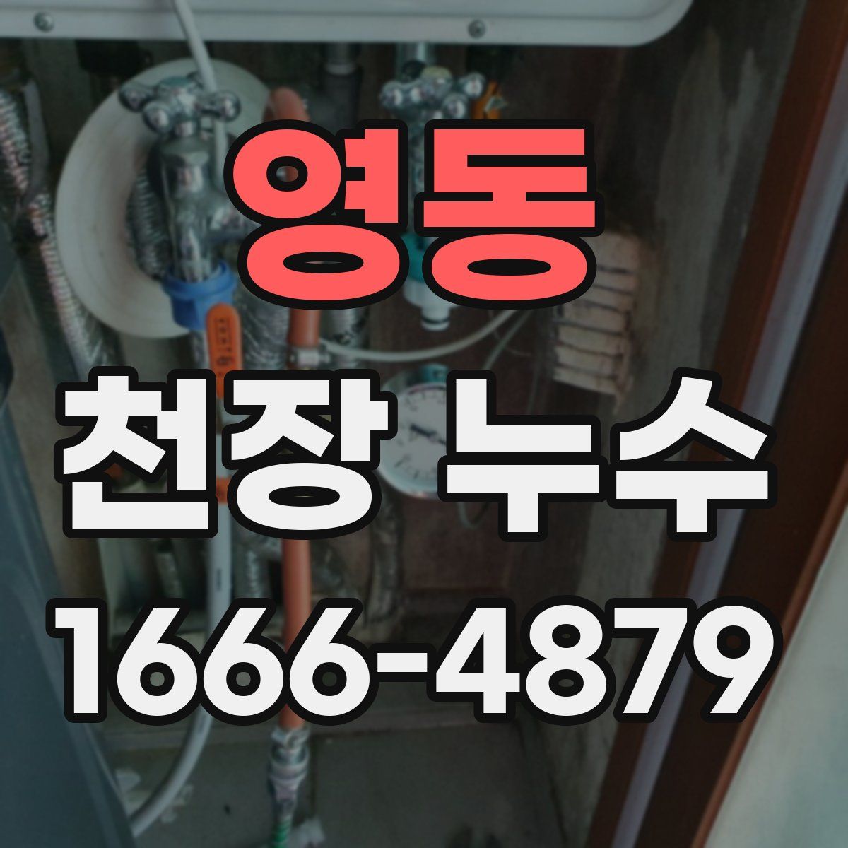 영동 천장 누수