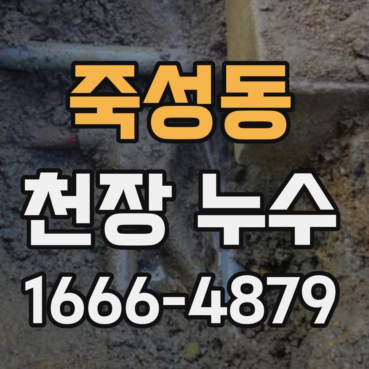 죽성동 천장 누수