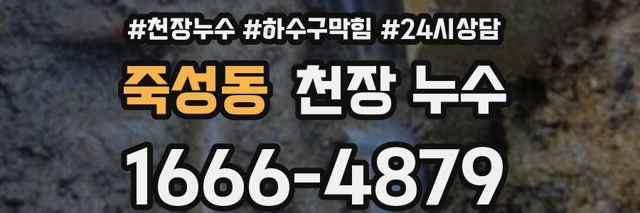 죽성동 천장 누수