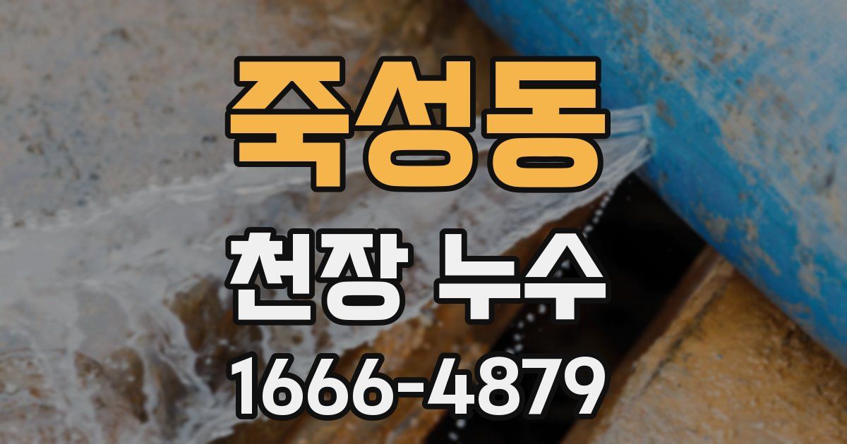 죽성동 천장 누수
