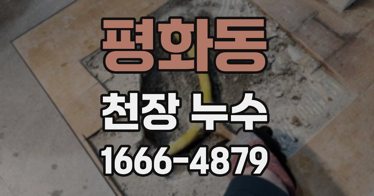 평화동 천장 누수