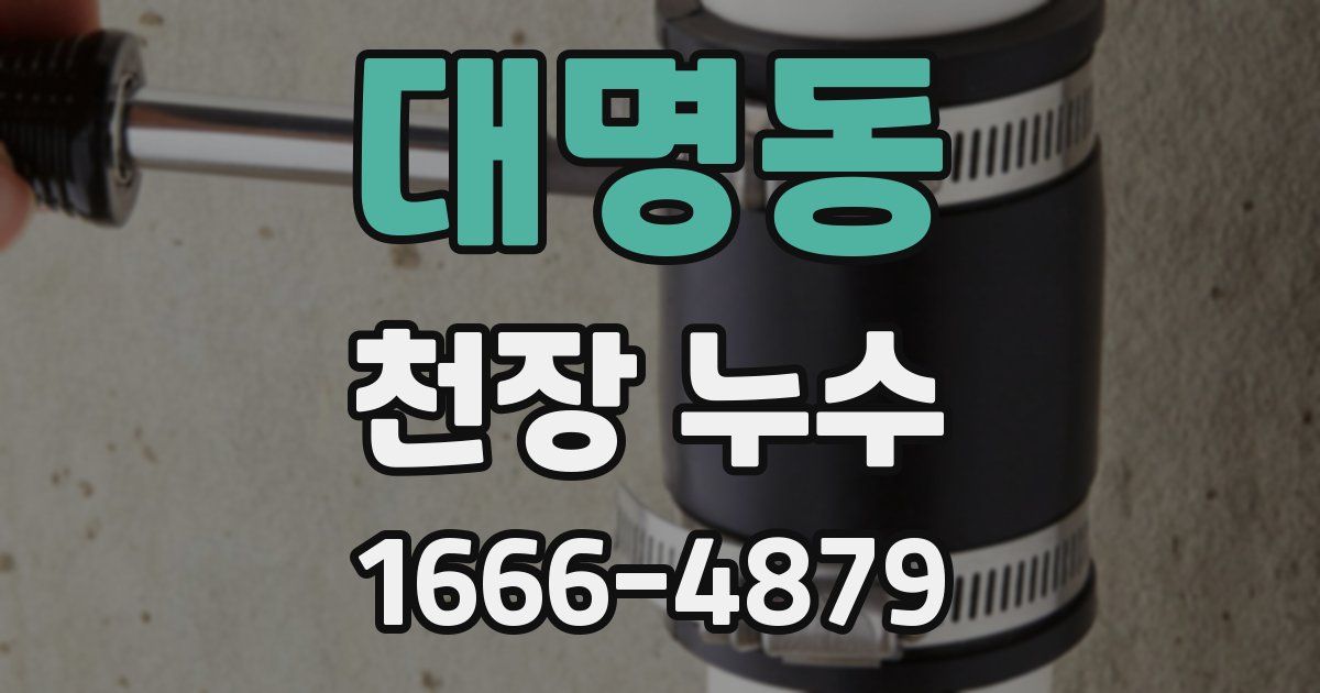 대명동 천장 누수