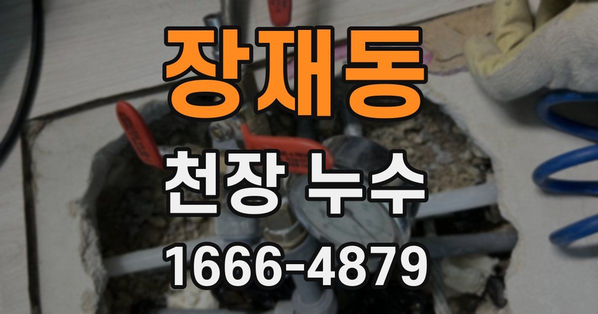장재동 천장 누수