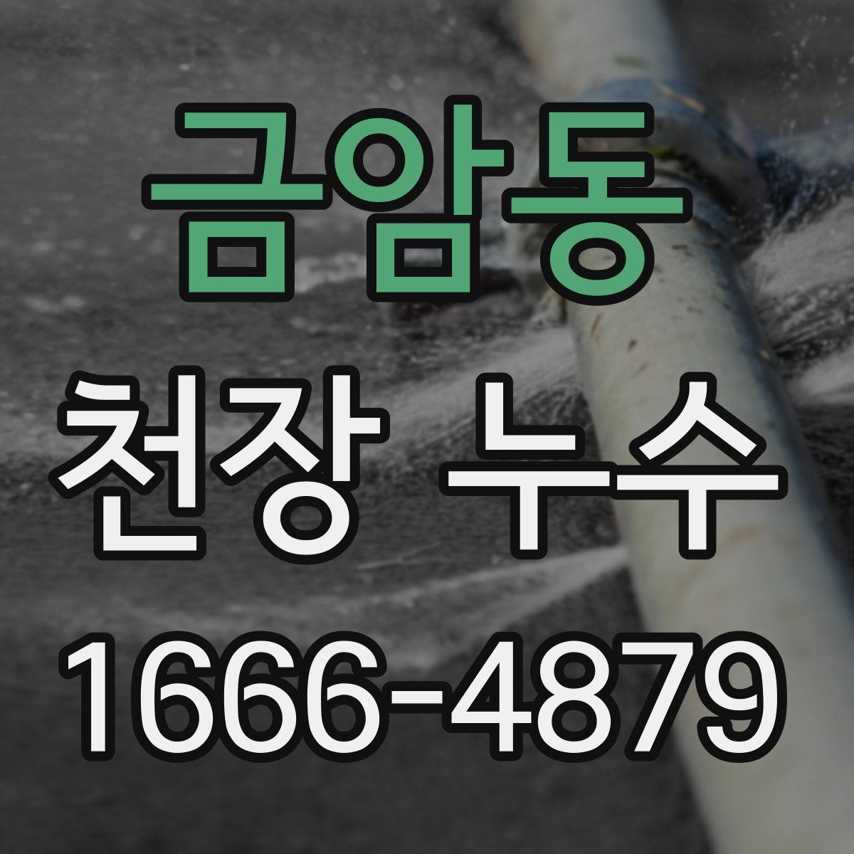 금암동 천장 누수