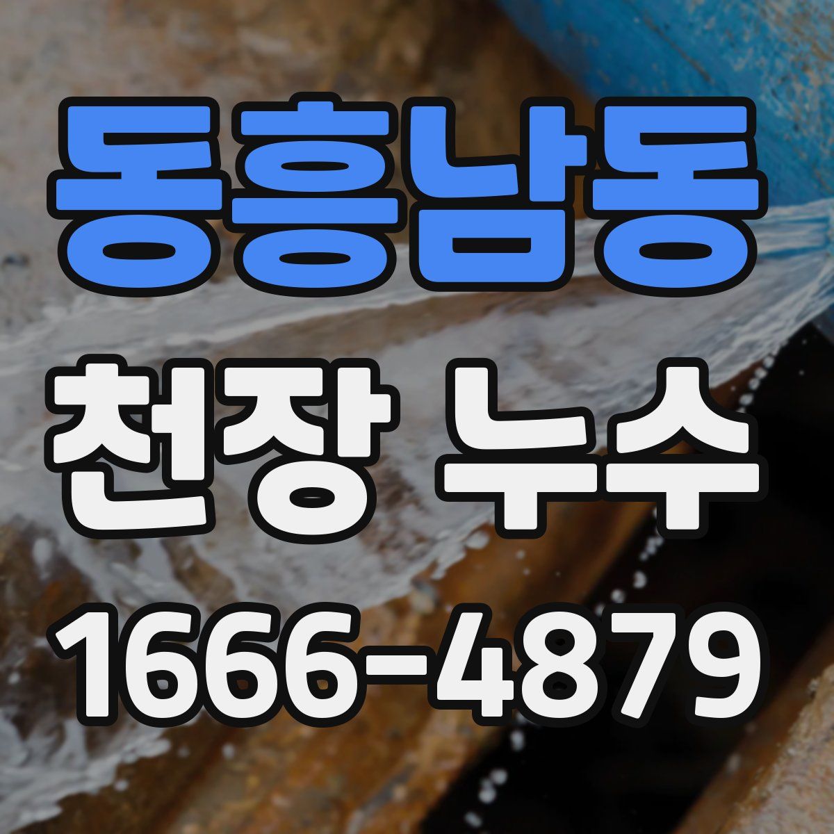동흥남동 천장 누수