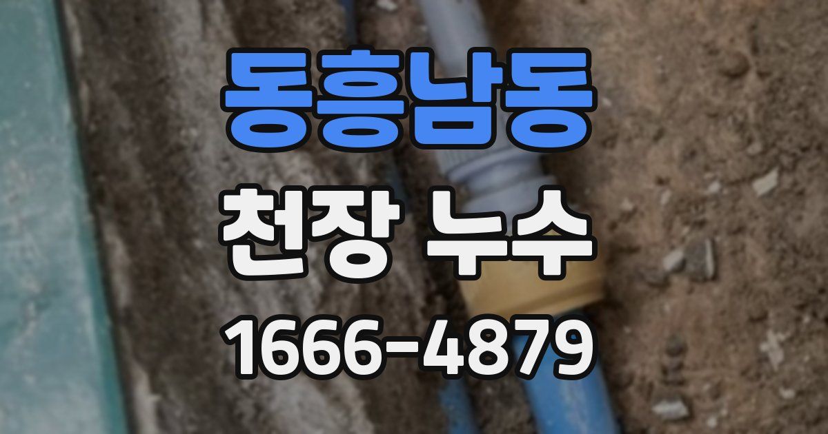 동흥남동 천장 누수