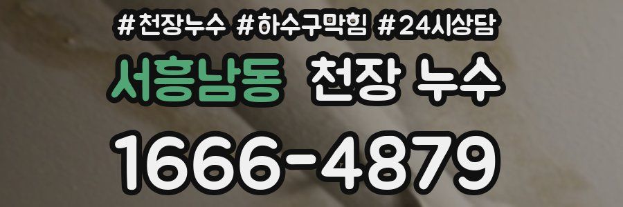 서흥남동 천장 누수