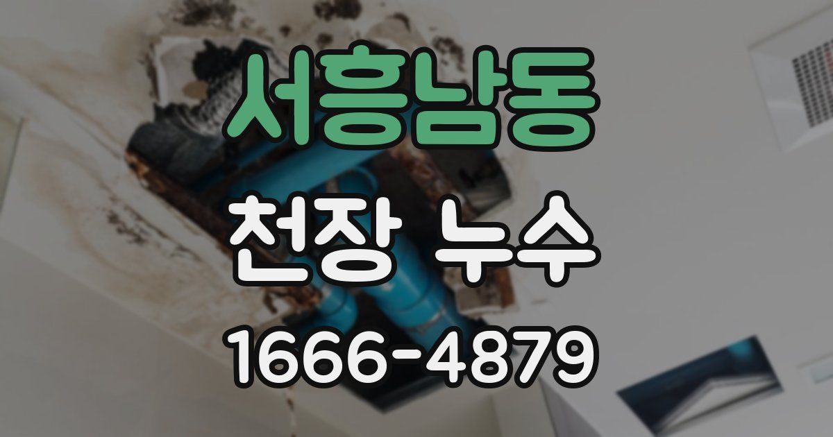 서흥남동 천장 누수