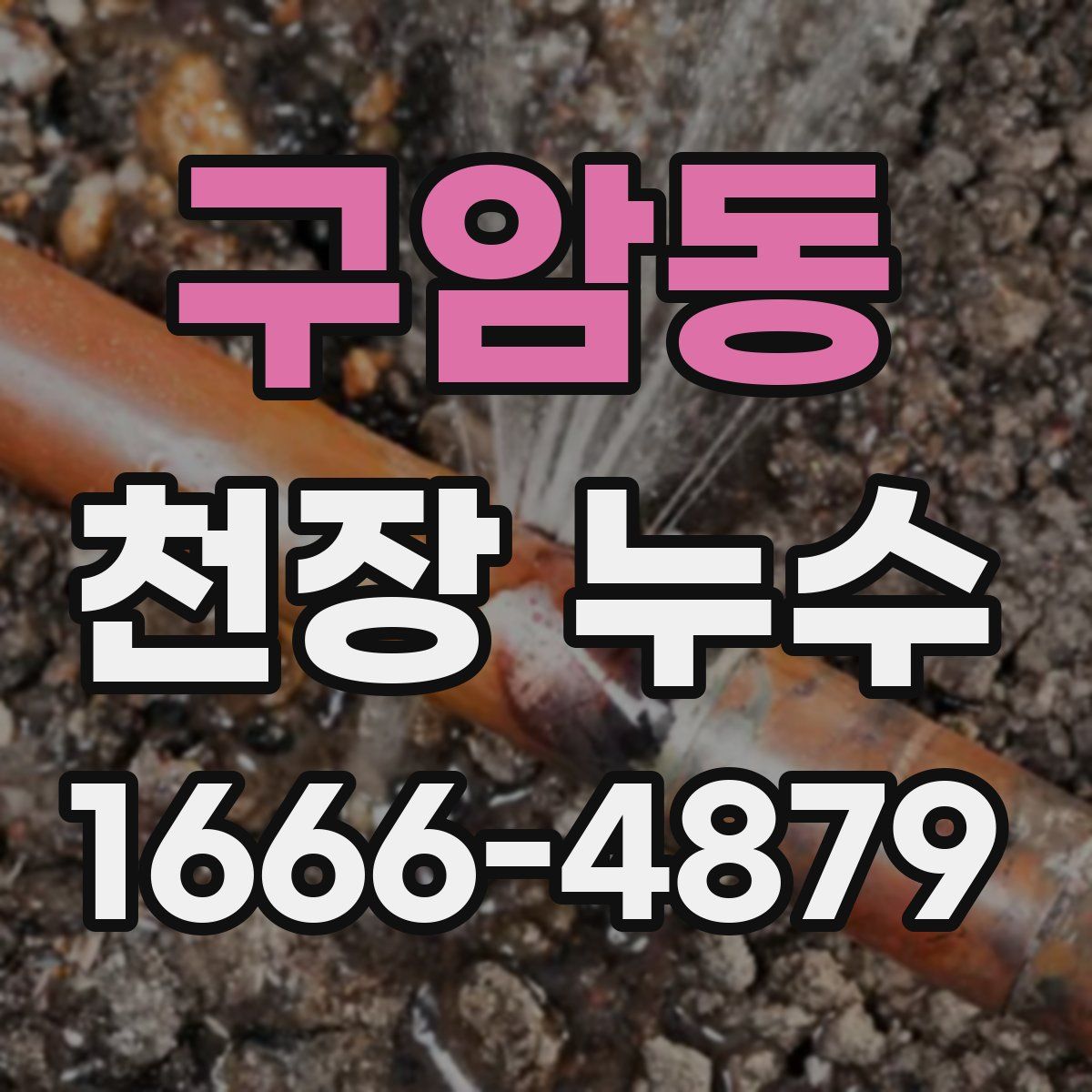 구암동 천장 누수