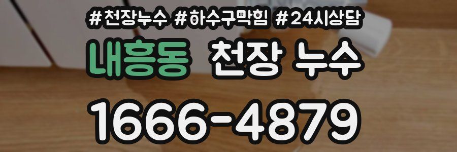 내흥동 천장 누수